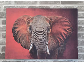 Quadro Personalizado  em  Niterói, Maricá e Rio de Janeiro - RJ